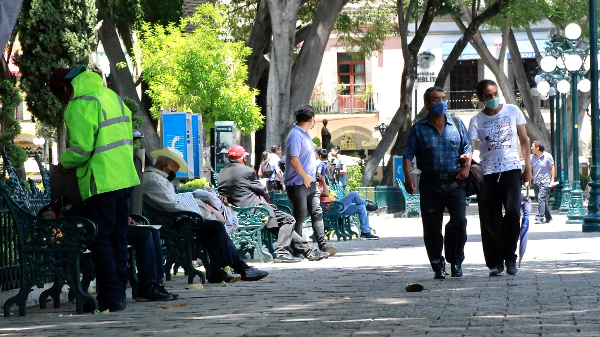 ZOCALO-JOSE LUIS 1